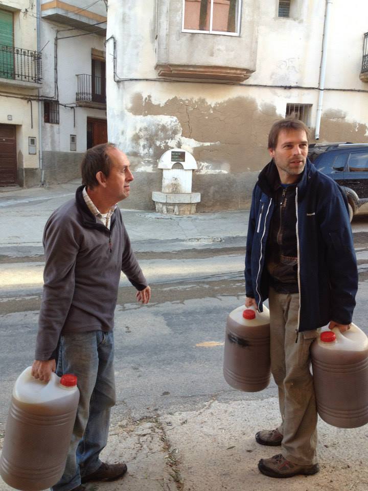 our-first-olive-harvest-&-olive-oil-10