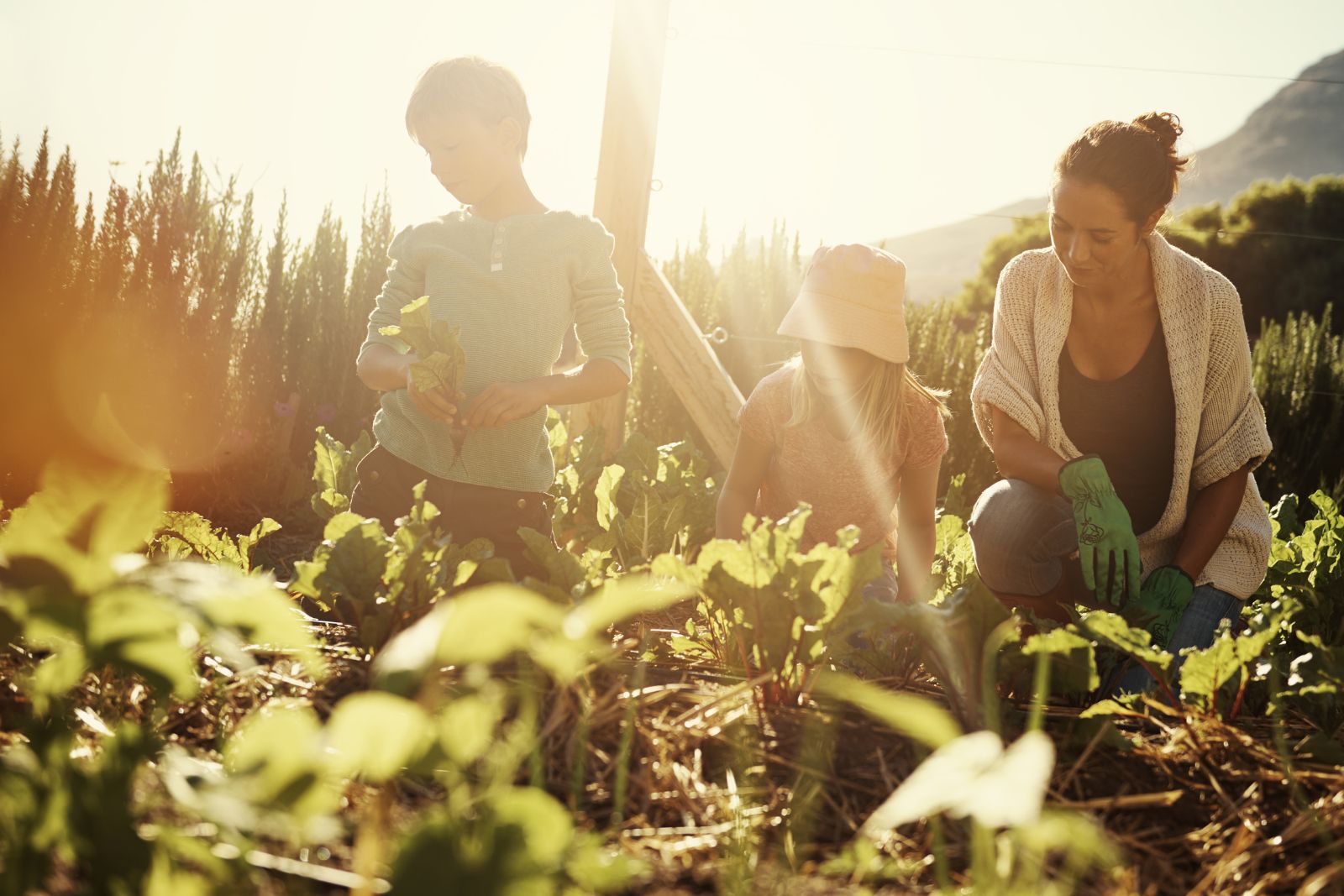 Mom gardening with teenage kids - one of the ways people experience simple living