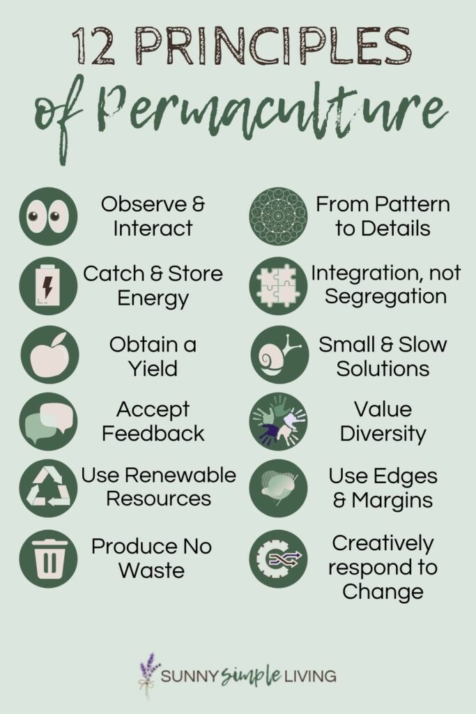 The 12 principles of permaculture