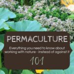 Permaculture 101