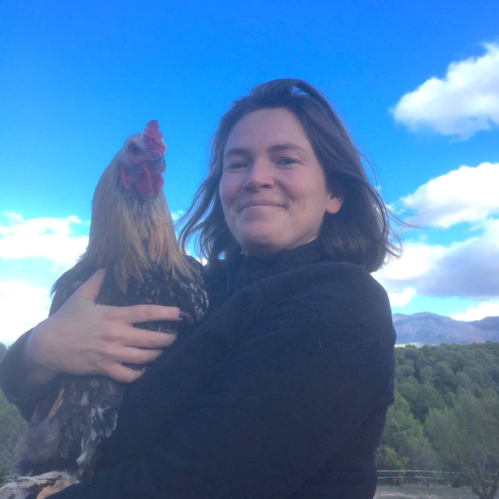 Happy Chickens with a Mobile Coop and Electric Netting - Sunny