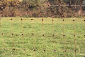 Mobile coop & electric netting for chickens