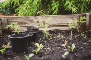 Square-Foot Gardening