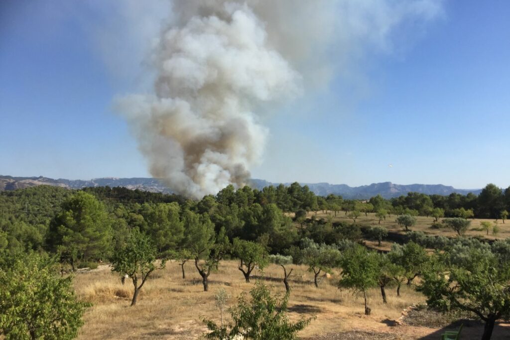 Forest fire in Lledo, Aragon, 2017
