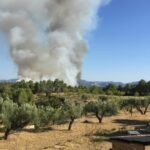 A Forest Fire in Spain – and Preparing for Emergency Evacuation