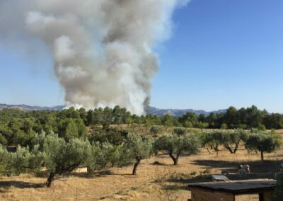 A Forest Fire in Spain – and Preparing for Emergency Evacuation