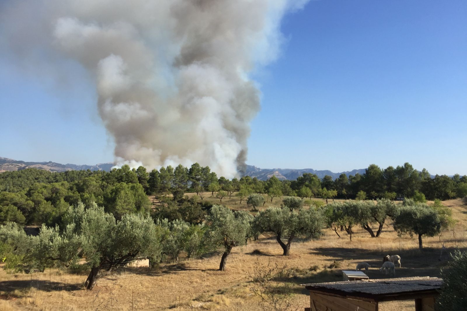 Forest fire and emergency evacuation in Lledo, Aragon, 2017
