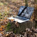 Why Working Online Is Fabulous When You Live Off-Grid