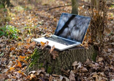 Why Working Online Is Fabulous When You Live Off-Grid