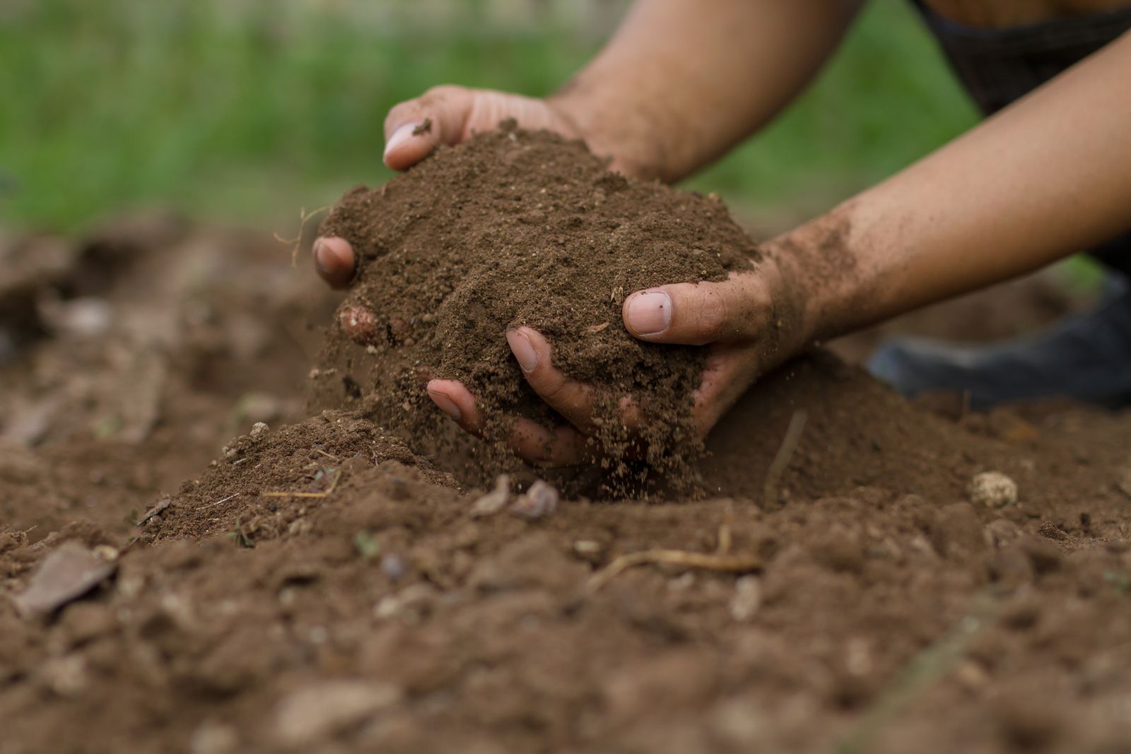 Person digging in the vegetable garden soil - illustrating the article about soil type