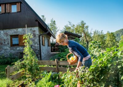 Finding the Sweet Spot: Picking a Location for your Vegetable Garden