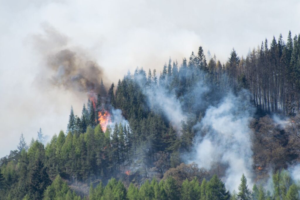 Forest fire in the mountains - illustrating the necessity to be prepared for emergency evacuation