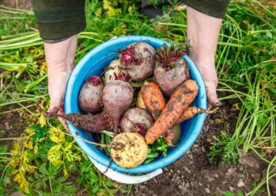 Which vegetables should you grow for self-sufficiency